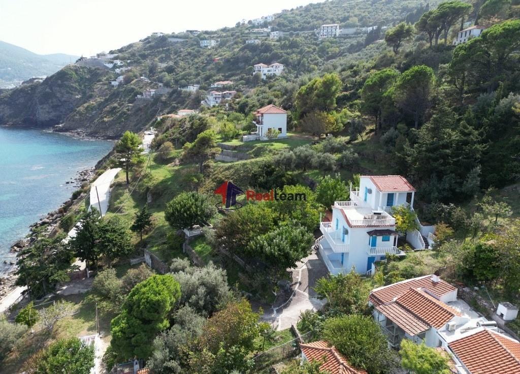 (For Sale) Residential Detached house || Magnisia/Sporades-Skopelos - 199 Sq.m, 8 Bedrooms, 550.000€