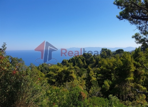 (Zu verkaufen) Nutzbares Grundstück || Präfektur Magnesia/Sporades-Skopelos - 8.340 qm, 80.000€