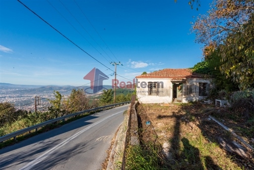 (De vânzare) Casă unifamilială rezidențială || Prefectura Magnesia/Iolkos - 75 mp, 2 dormitoare, 80