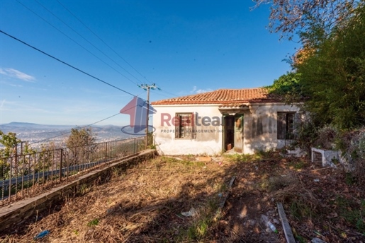 (De vânzare) Casă unifamilială rezidențială || Prefectura Magnesia/Iolkos - 75 mp, 2 dormitoare, 80