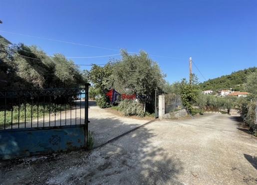 (À vendre) Maison individuelle résidentielle || Préfecture de Magnésie/Sporades-Skopelos - 425 m², 