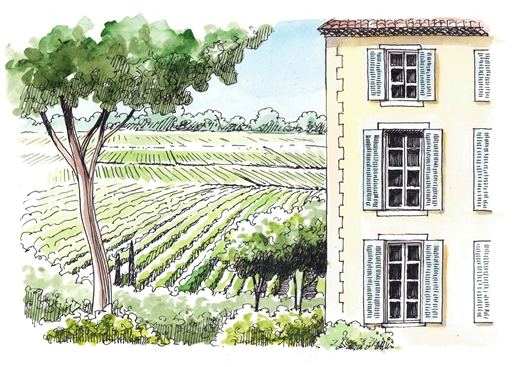 Wine estate in Luberon