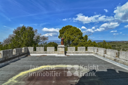 13Th century château and renovated farmhouse close to Aix-en-Pro