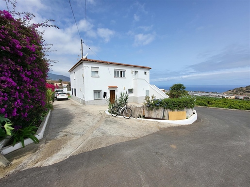 House with four units on an orange finca