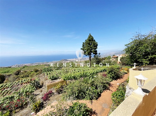 Large finca with dream views