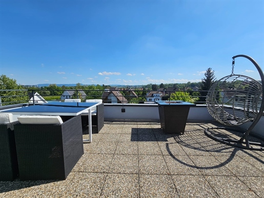 Hégenheim penthouse 4 rooms 3 bedrooms 141 m2 panoramic terrace of 32 m2 in small building with