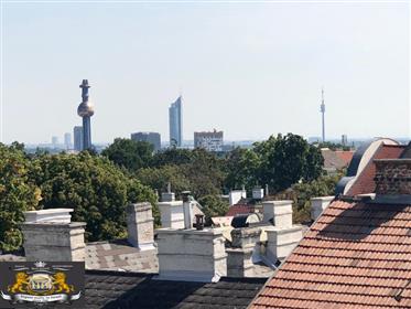 Современная квартира с крышей в посольском районе Вены