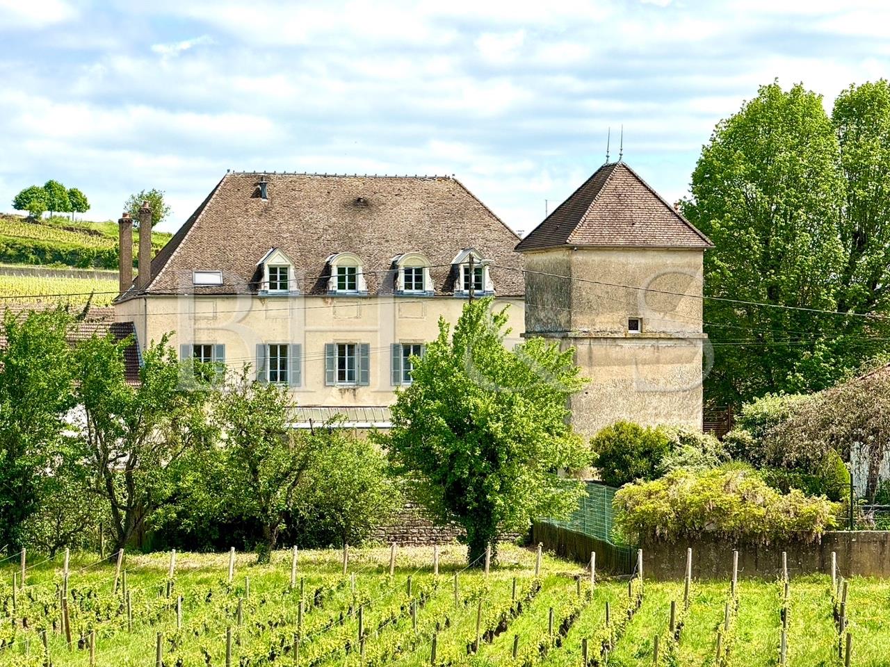 Maison bourgeoise de 1835, jardin, piscine, caves & dépendances