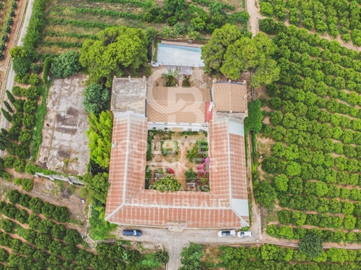 Невероятна селска финка от 34 000 м2 парцел в Алгемеси