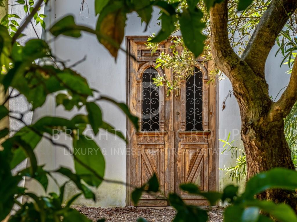 Quinta da Saudade, a 20-hectare estate just 40 minutes from Lisbon