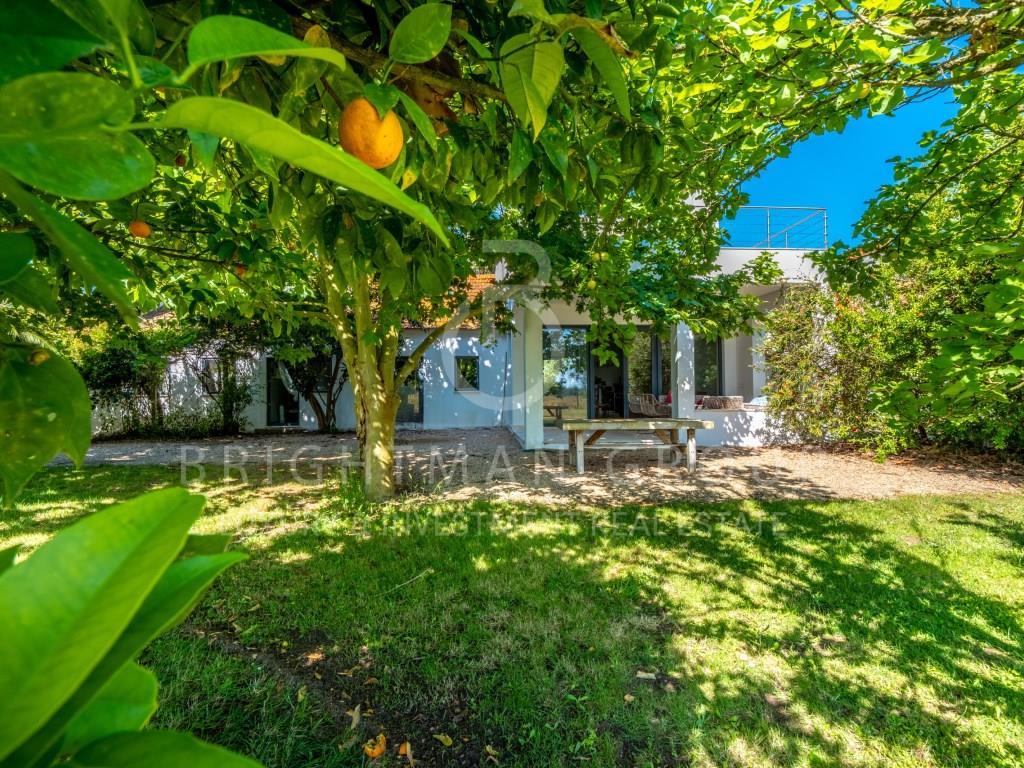 Quinta da Saudade, a 20-hectare estate just 40 minutes from Lisbon