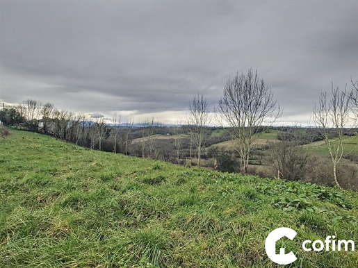 Compra: Terreno (64150)