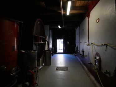 Small wine estate of 10 ha in private cellar - Aop Saint Chinian