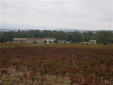 Vineyard of 42 ha including 28 ha of Aop Minervois vines