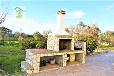 Tricase sale villa in the country