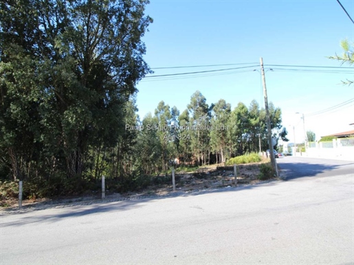 Land for sale in Olival (next to the Olival Social Center)