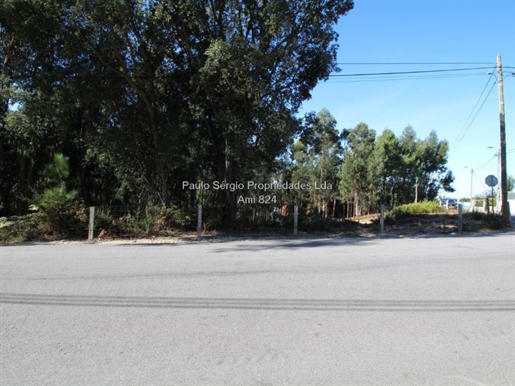 Land for sale in Olival (next to the Olival Social Center)