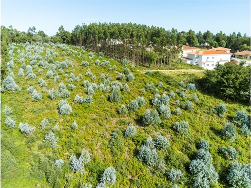 Land with an area of 7706m2, for building 14 houses