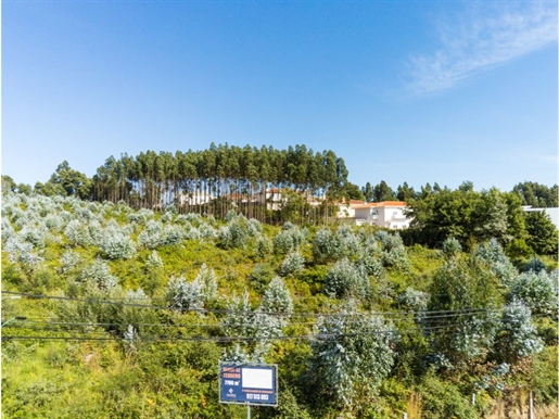 Land with an area of 7706m2, for building 14 houses