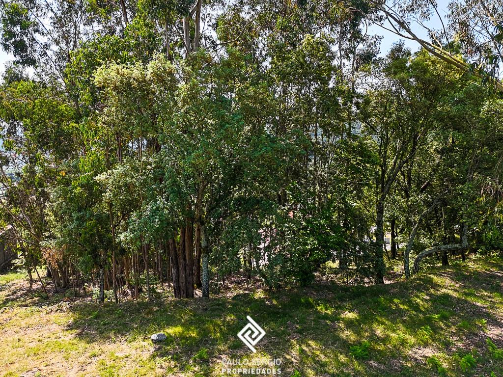 Large plot of land in Póvoa de Lanhoso with panoramic views of Lanhoso Castle and the São Mamede hil