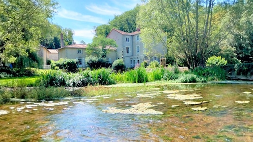 8 bed Mill, Gite, River, Island, Barns, No Neighbours, Over 3ha, Revenue – Romagne (Vienne)