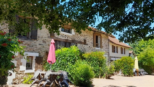 Charming new build for sale with 4 gites, swimming pool and gardens in the Dordogne