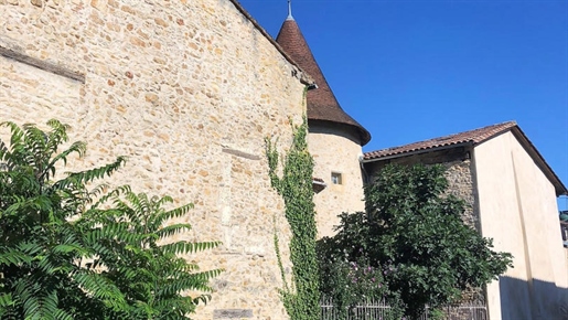 Village Mansion House 15th Century 4 beds 300 m² Charente