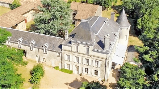 Historic Château - Niort income, lake, gites