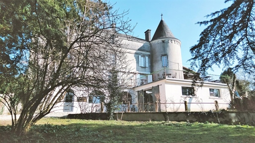 Historic Château - Niort income, lake, gites