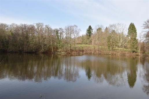 Pond of 9900 m2 with its shed on a plot of 1ha600 in Limousin
