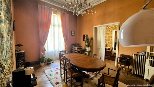 Bourgeois apartment in the city center of Orange
