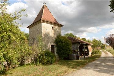 Umgebaute Scheune und Steinhaus mit Pigeonnier, 5 Hektar, Bourg de Visa, Tarn et Garonne