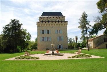 Außergewöhnlich und selten verfügbar Gascon Wehrturm Schloss in 5 Acres, nr Kondom, Gers