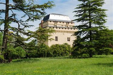 Château Gascon exceptionnel sur 2ha, Condom, Gers