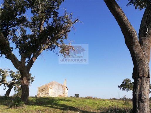 Monte Alentejano with 4.4ha in Grândola's Hill with a typical house, 30 minutes from the beaches!