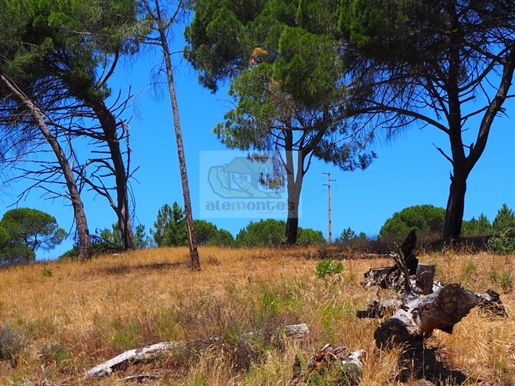 Land of 8ha with ruin 5 minutes from the beach of Aberta Nova and the village of Melides