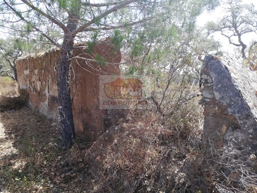 Alentejo farm with ruin to rehabilitate 20 km from the coast