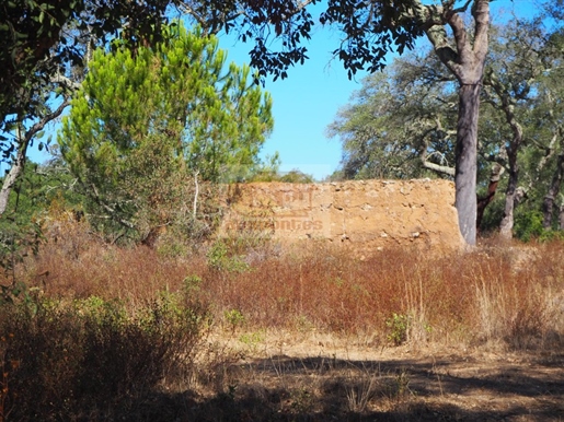 Alentejo farm with ruin to rehabilitate 20 km from the coast