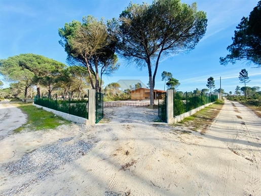 Land 5 minutes from the beach and lagoon of Melides!