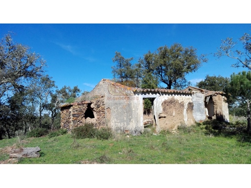 Property with 12 hectares, ruin and project approved for Rural Hotel 20 minutes drive from the beach