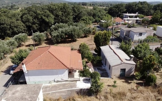 (For Sale) Residential Detached house || Messinia/Near Pylos/Mesopotamos - 85 Sq.m, 3 Bedrooms, 95.0