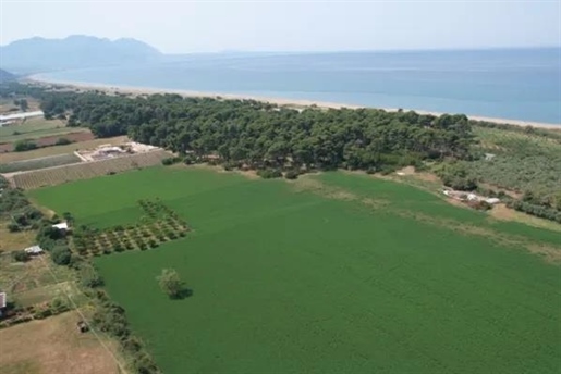 (For Sale) Land Agricultural Land || Messinia/Kyparissia - 56.000 Sq.m, 6.000.000€