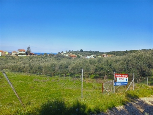 (For Sale) Land Plot || Messinia/Kyparissia - 4.046 Sq.m, 115.000€
