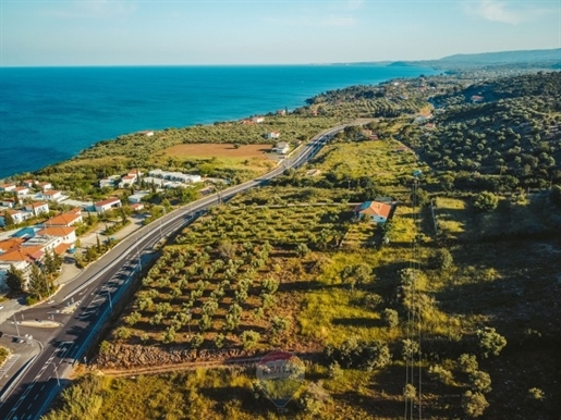 (For Sale) Land Plot || Messinia/Petalidi - 9.355 Sq.m, 330.000€