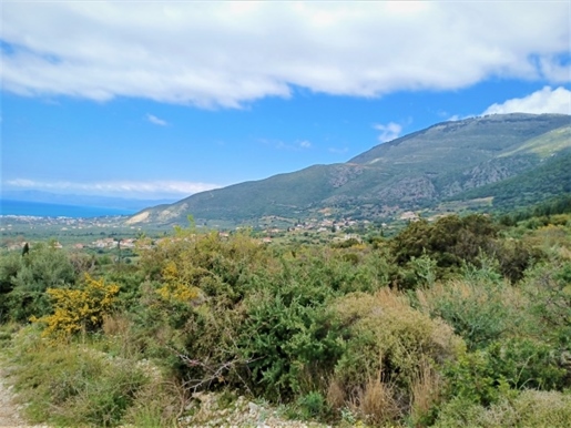 (For Sale) Land Agricultural Land || Messinia/Kyparissia - 14.971 Sq.m, 45.000€