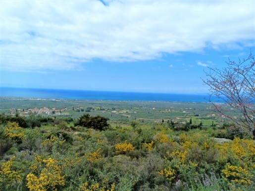 (Zu verkaufen) Nutzbares Grundstück || Präfektur Messinien/Kyparissia - 14.971 m², 45.000€