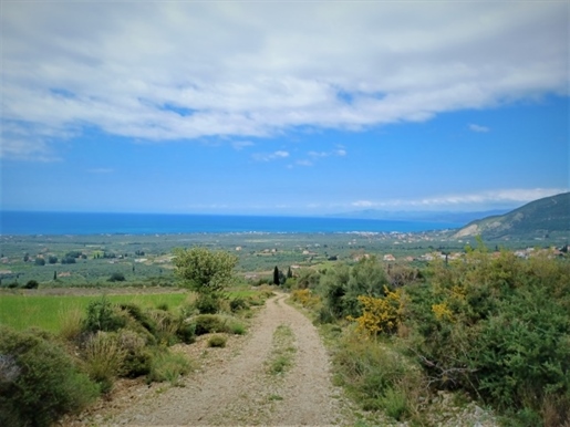 (À vendre) Parcelle de terrain utilisable || Préfecture de Messénie/Kyparissia - 14.971 m², 45.000€