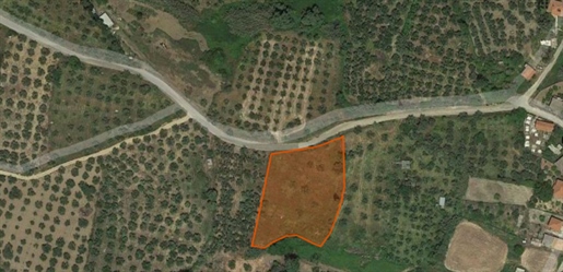 (For Sale) Land Plot || Messinia/Filiatra - 3.668 Sq.m, 25.000€