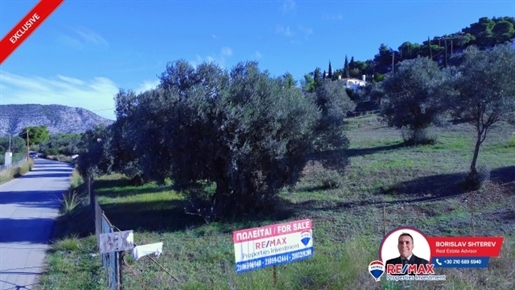 (For Sale) Land Plot || Argolida/Kranidi - 6.566 Sq.m, 200.000€