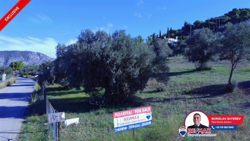 (For Sale) Land Plot || Argolida/Kranidi - 6.567 Sq.m, 200.000€